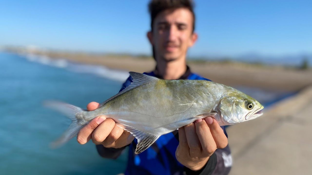 Bol çeşitli efsane bir av / Liça lüfer levrek kuzu hepsi tek avda !