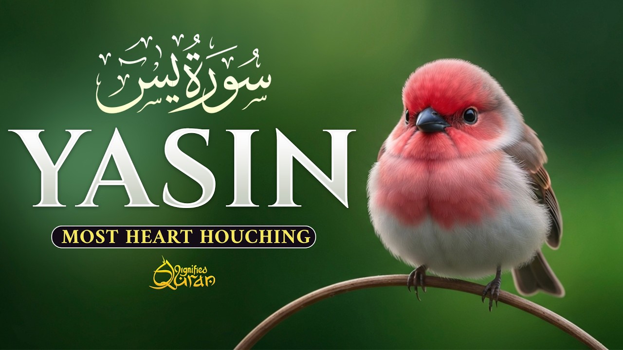 Surah Yaseen سورة يس | The Most Soothing Recitation for Ultimate Peace & Tranquility by Alaa Aqel