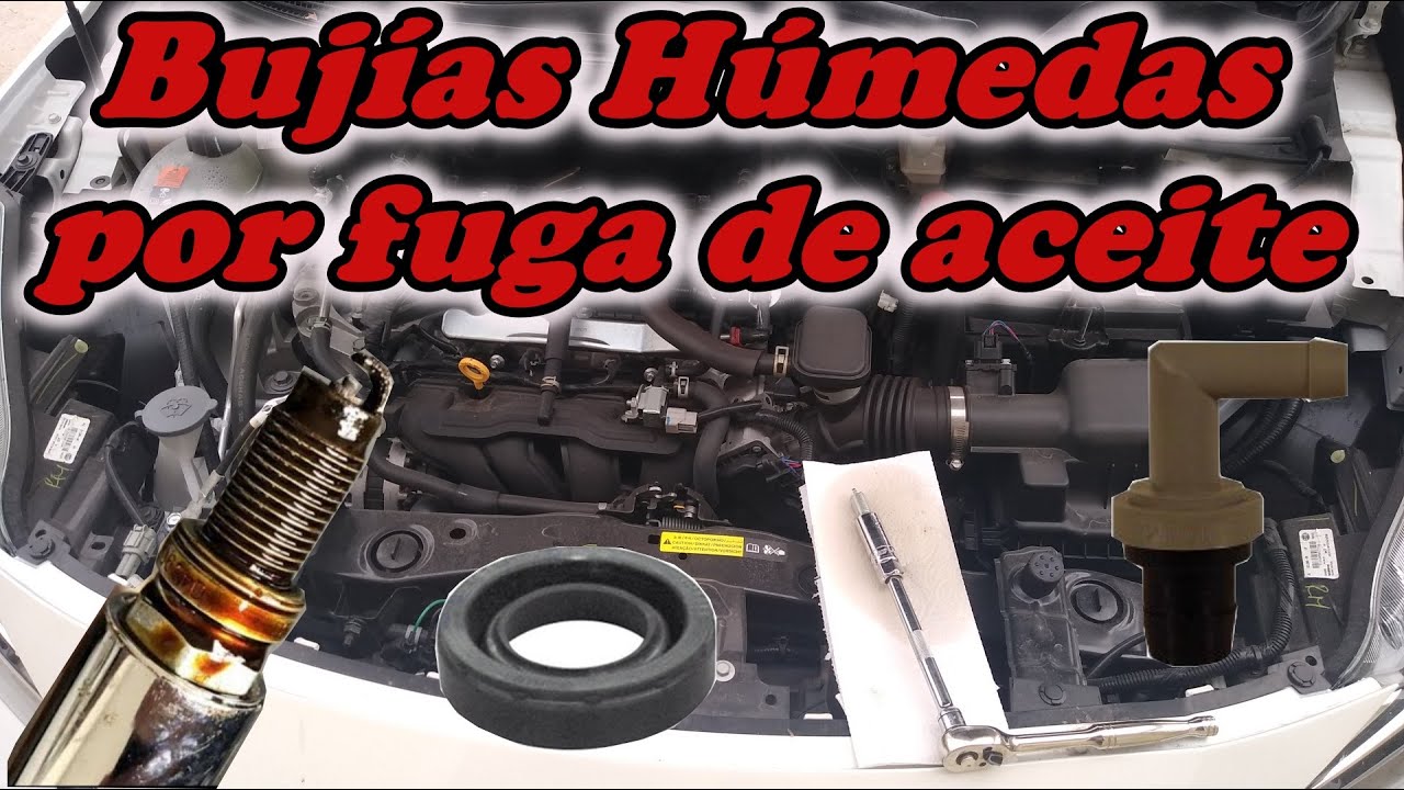Bujías Húmedas por fuga de aceite