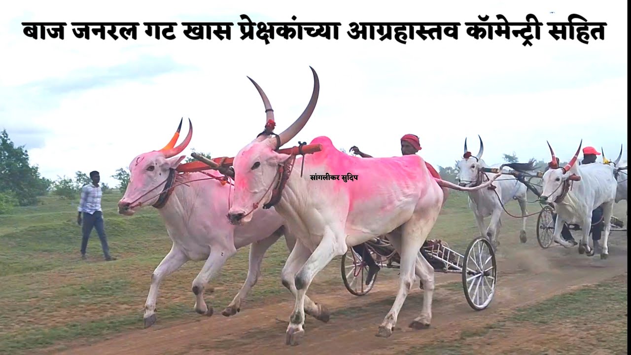 बाज मैदान जनरल गट खास प्रेक्षकांच्या आग्रहास्तव कॉमेन्ट्री करून | सांगलीकर सुदिप