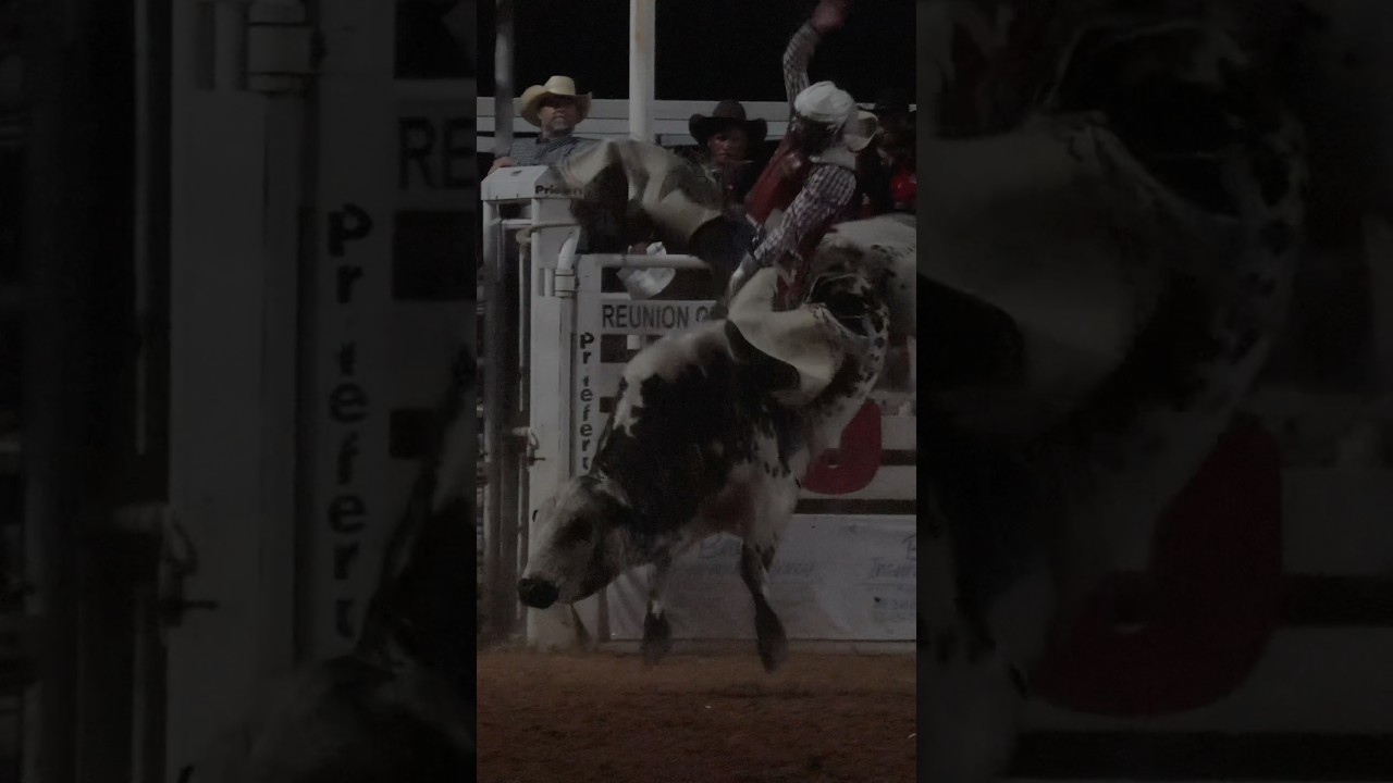 Хадсон Болтон с 88,7 очками в Glory Days на турнире Battle Of The Bulls Bull 2025

‌