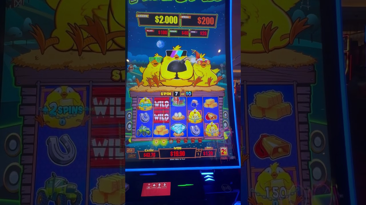 Such a fun Bonus 