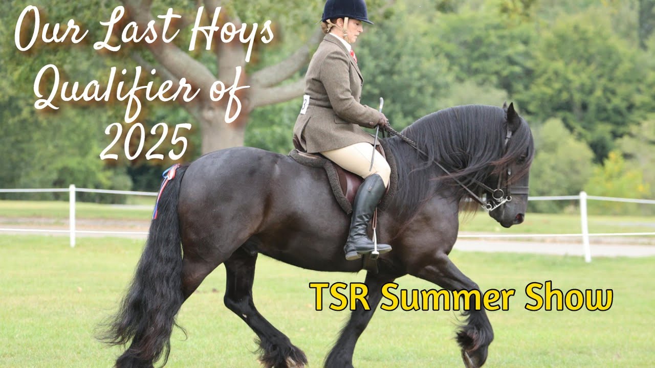 TSR Summer Show, Stoneleigh