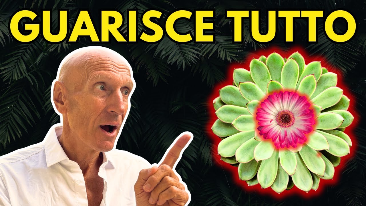 Le 3 migliori piante (MEDICINALI) e come usarle!