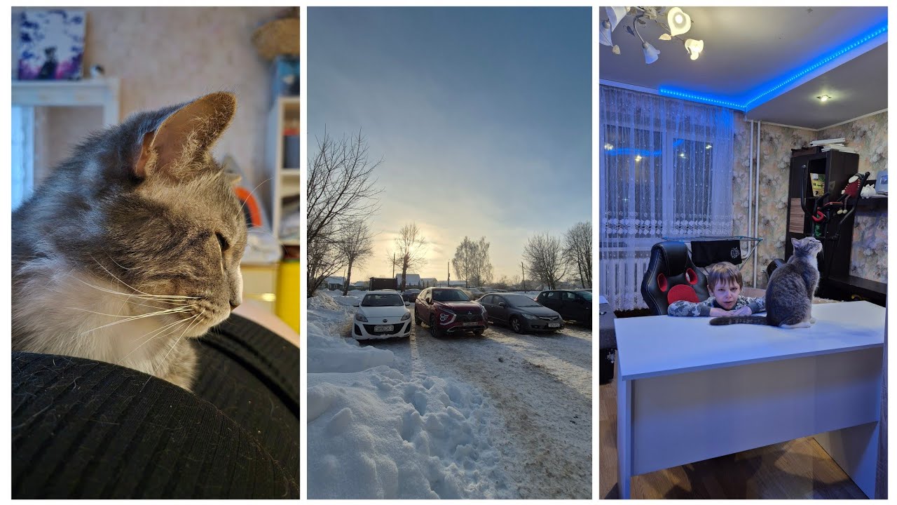 VLOG 578: РАССТРЕЛЯЛИ...