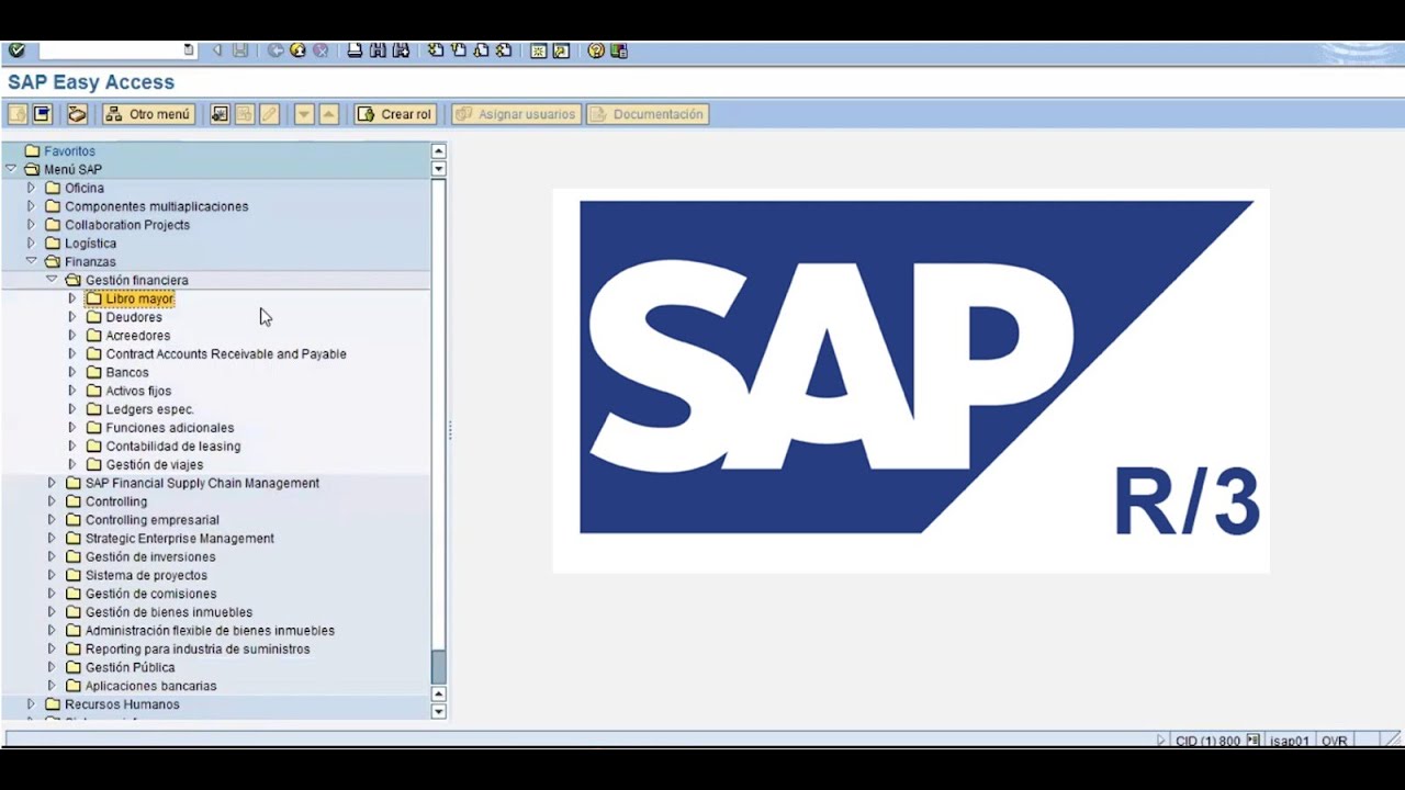 TUTORIAL SAP R3 ERP SISTEMA CONTABLE ERP MODULO FINANZAS