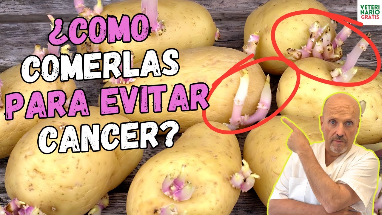 🥔 ¿CÓMO COMER LAS PATATAS CON BROTES SIN RIESGO DE CÁNCER POR ACRILAMIDA? 🥔