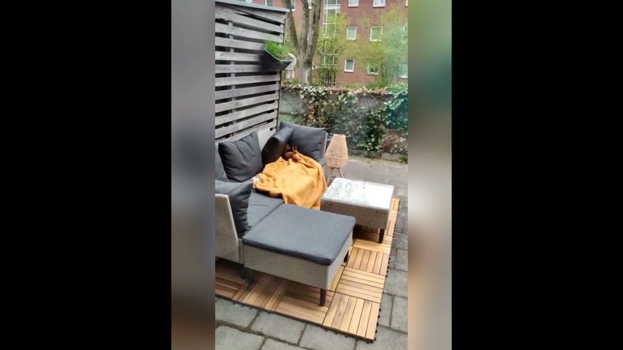 Eichhörnchen klaut Decke von der Terrasse!!