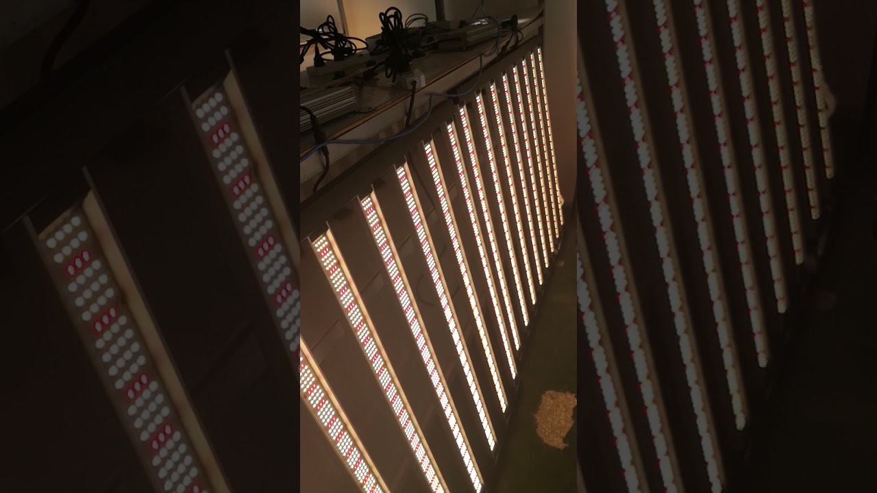 680W R2T Sunbar Flex-680W1S full spectrum led grow light