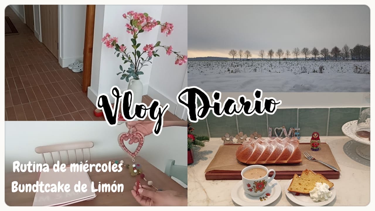Rutina de Miercoles 🌷 Bundcake de Limón #brisaenholanda #vlogdiario #bundtcake #vlog #holanda 
