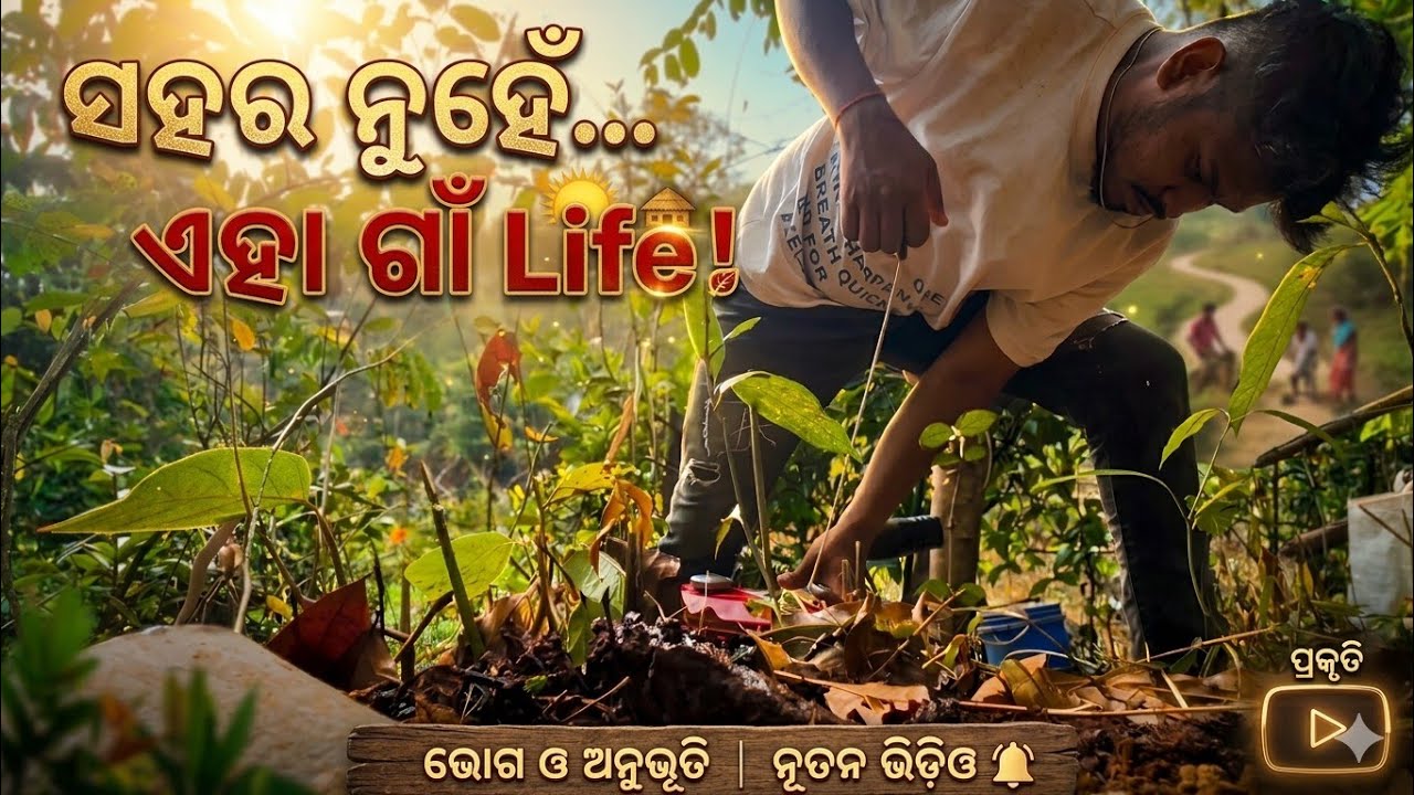 ସହର ର ଭିଡ଼ ନୁହେଁ ❤️ ଏହା ଗାଁ Life | Village Vlog @biswaranjan-t8u #villagevlog