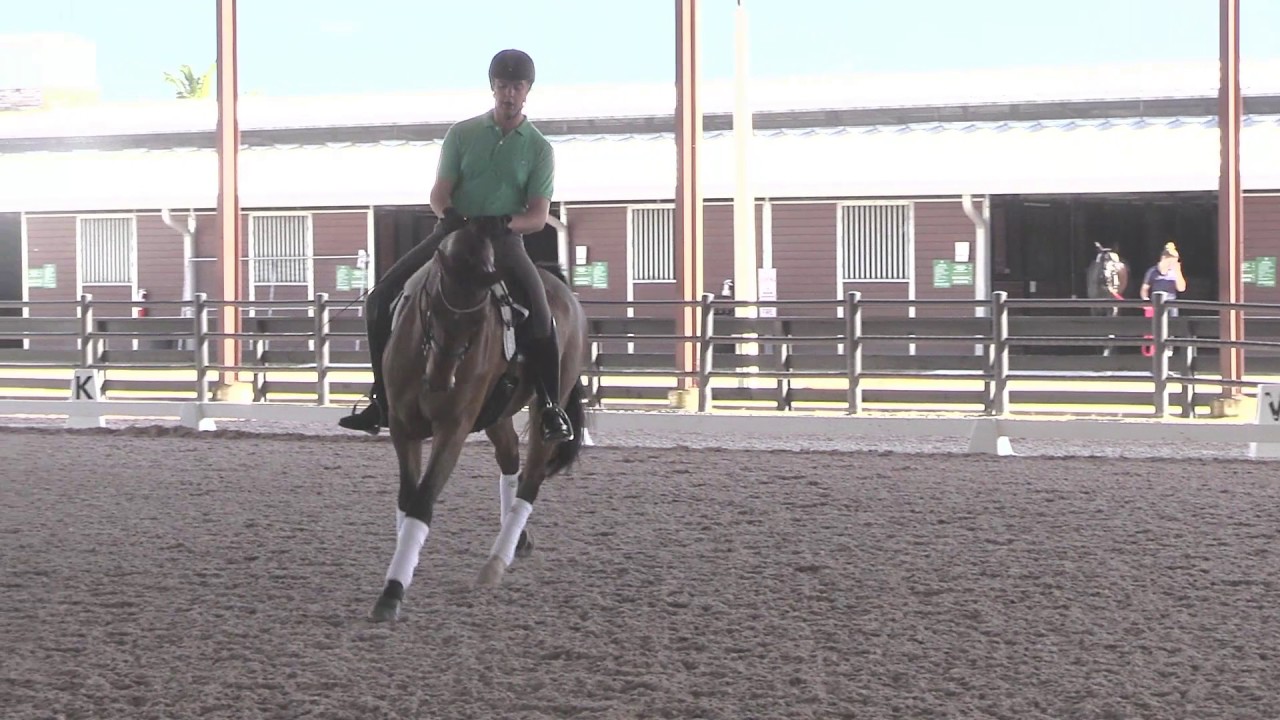 Michael Barisone: Fundamentals of Forward in Dressage