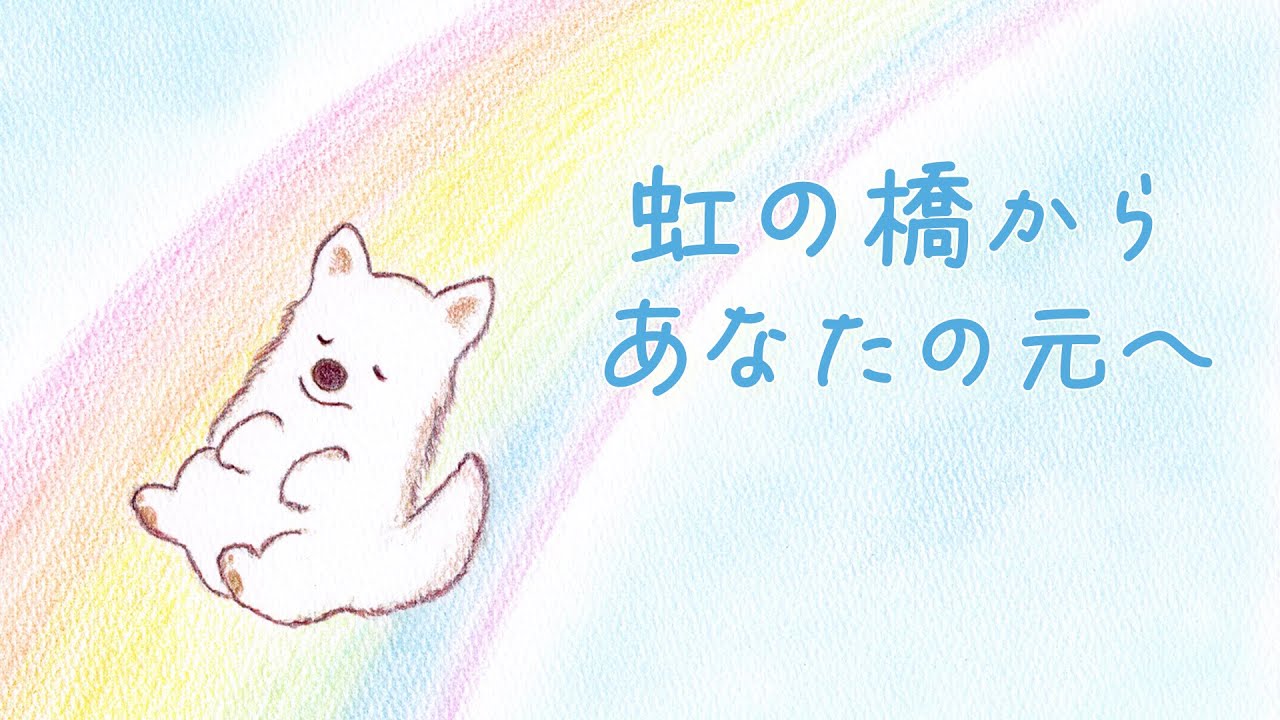 【犬の歌】虹の橋からあなたの元へ「思い出カード／染矢敦子」