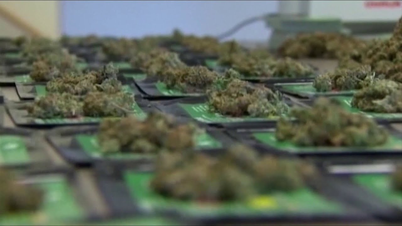 Senate committee approves marijuana bill