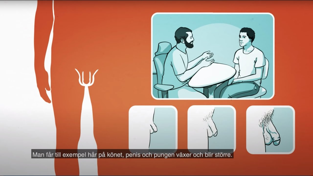 ئەندامی زایەندیی پیاو | RFSU informerar om penis pung / mannens kön på sorani (sydkurdiska)