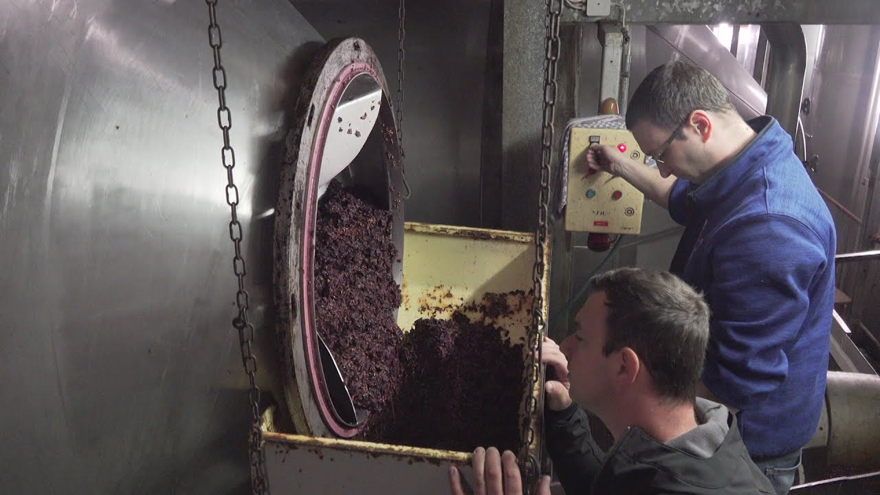 Éleveurs de vins: de la cave à la vente