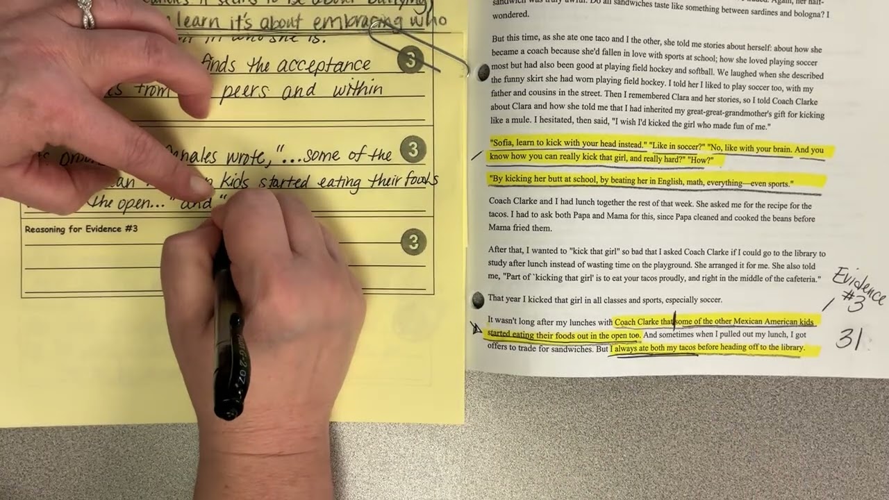 Literary Theme Essay Outline Evidence 3