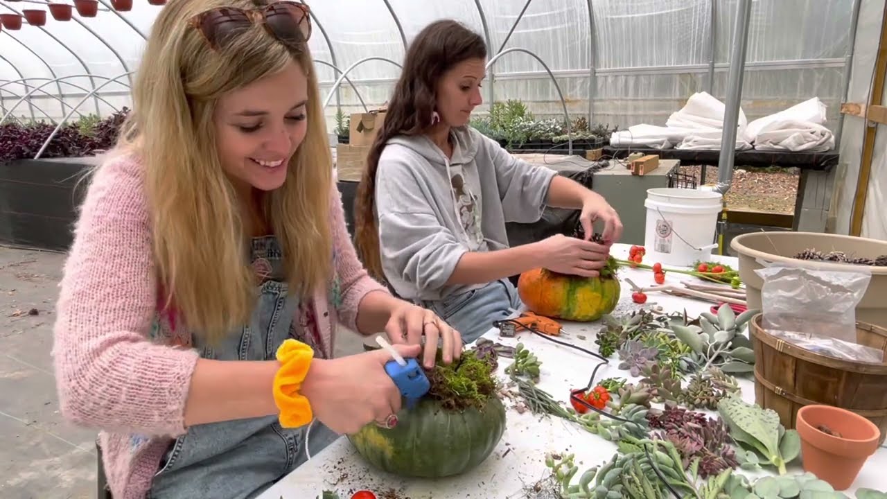 Part 2: Pumpkulents…succulents on pumpkins 🎃 for DIY fall decor