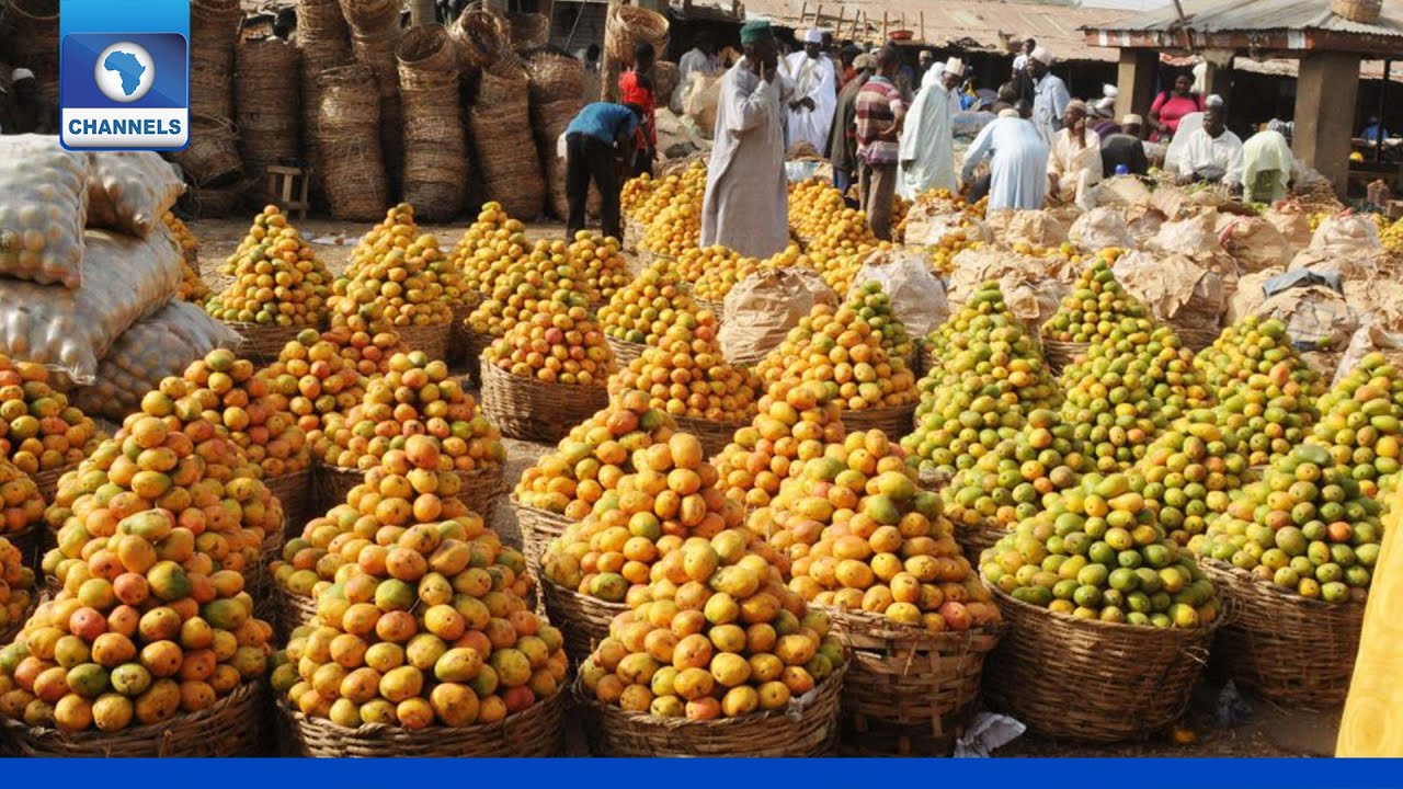 Commodities Market: How Mango Production Impact Nigeria&rsquo;s Economy