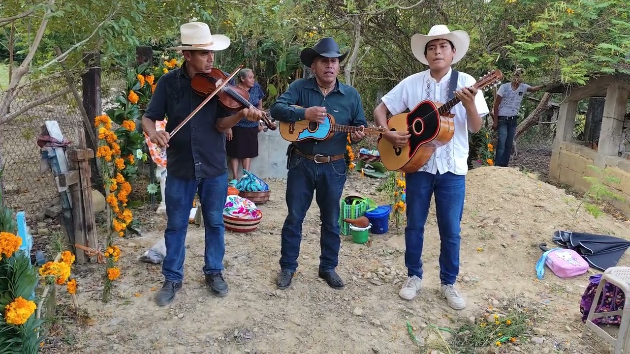 Trío Águila Huautlense con otro corrido Huazalinguillo Huautla Hgo.18-11-24