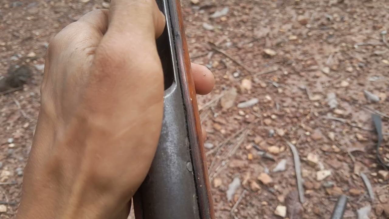 espingarda 28 caseira boa demais🐗#caçadas #caatinga #natureza #vidanaroça #sítio