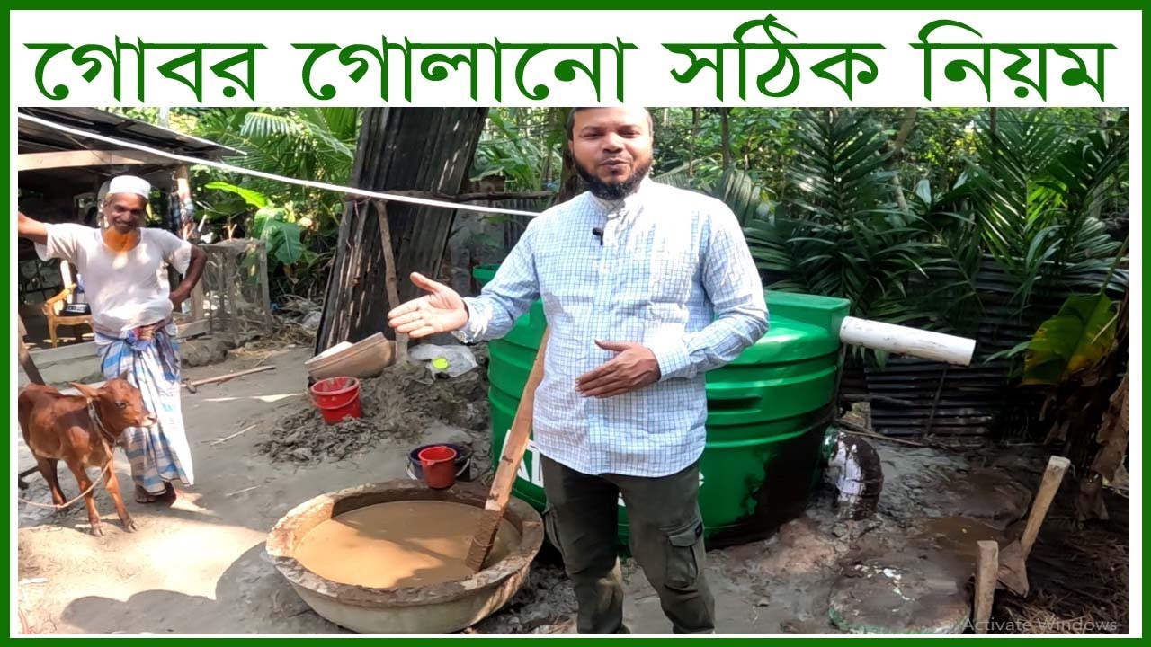 How to Mix Cow Dung Properly for Bio Gas , Krishi o Krishok|