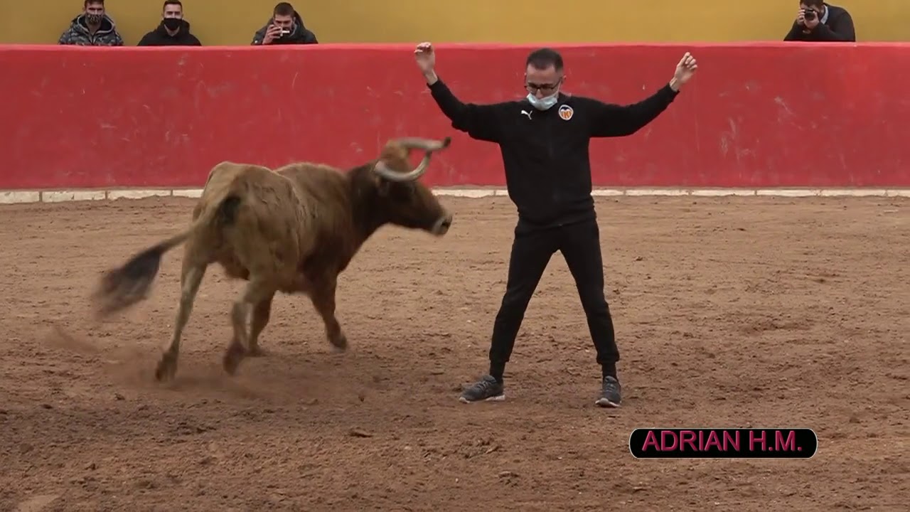 Suelta de dos vacas de Manuel Caro (Nochebuena 2020)