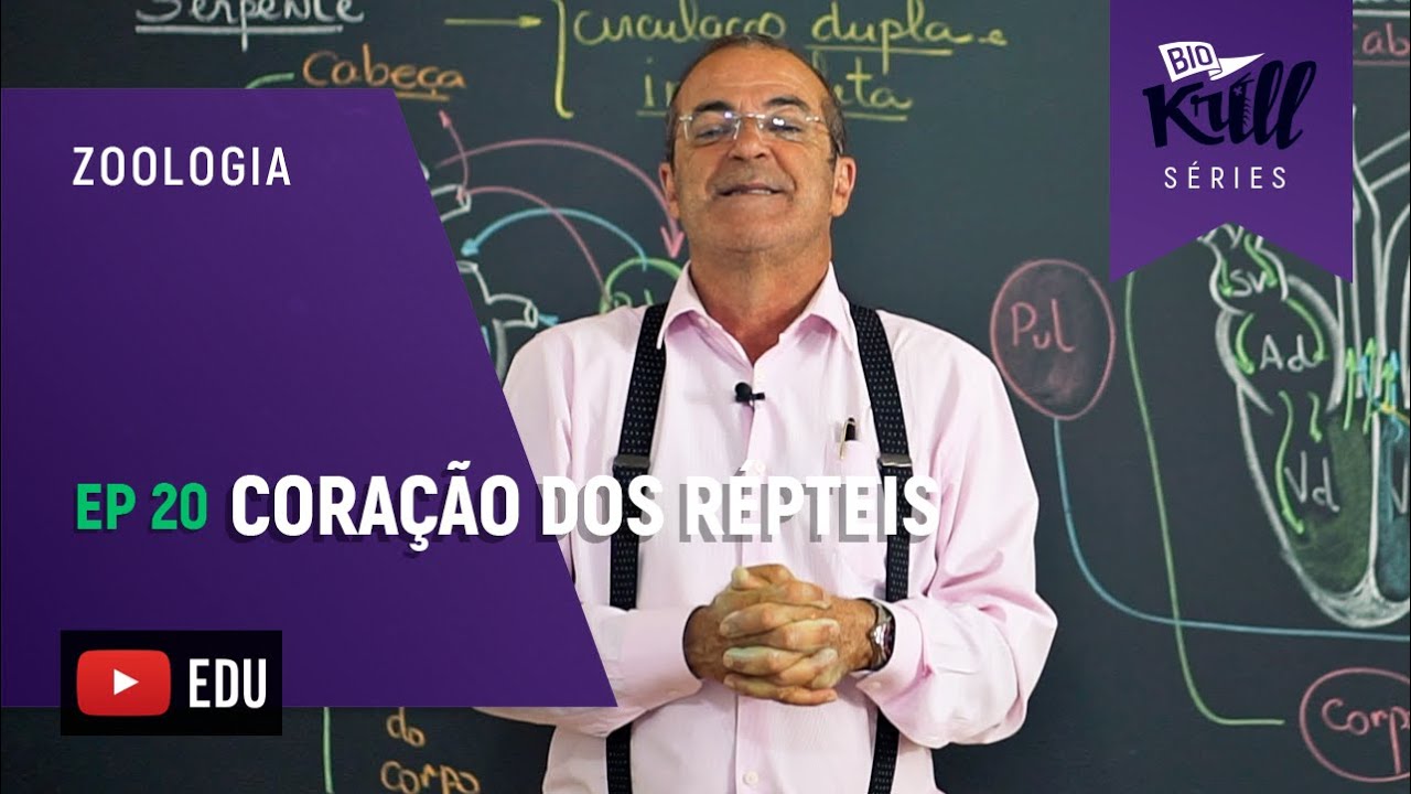 O Coração dos Répteis (Zoologia - EP20) I Biokrill Séries