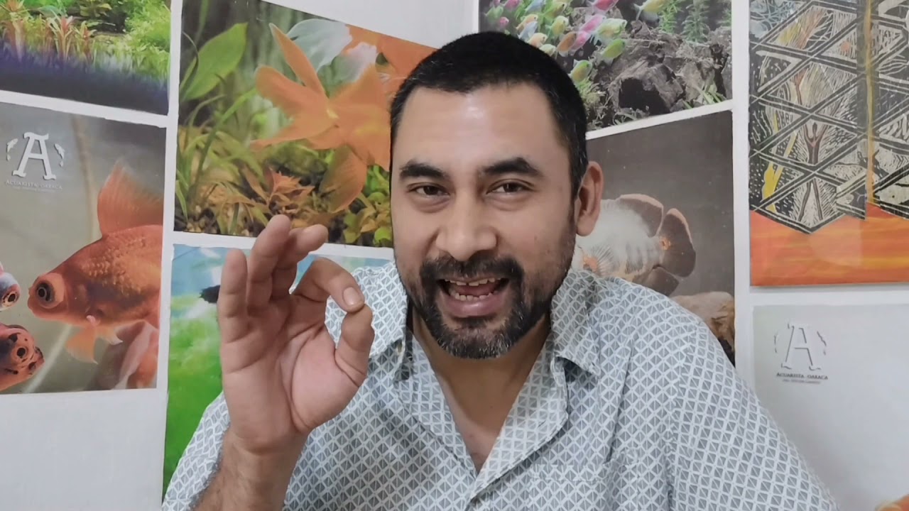 Poderoso Filtro Cubetanister con Cabeza de Poder
