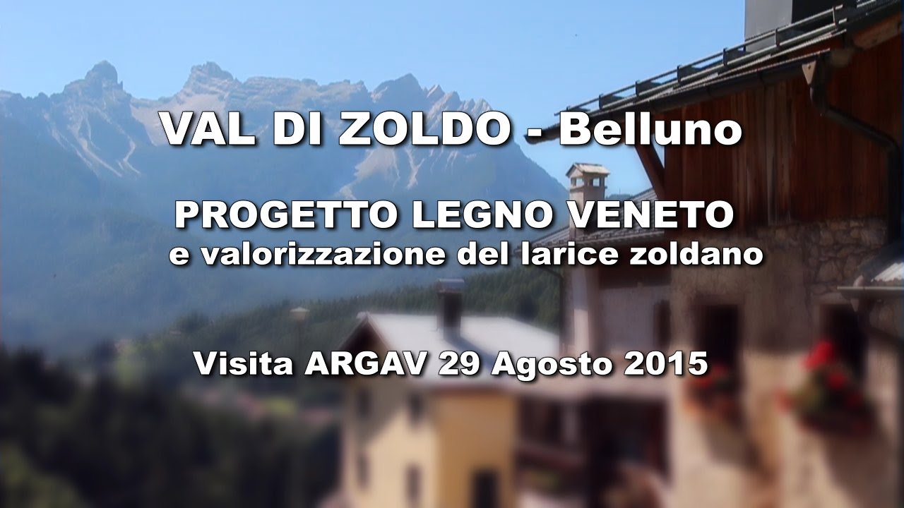 Progetto Legno Veneto