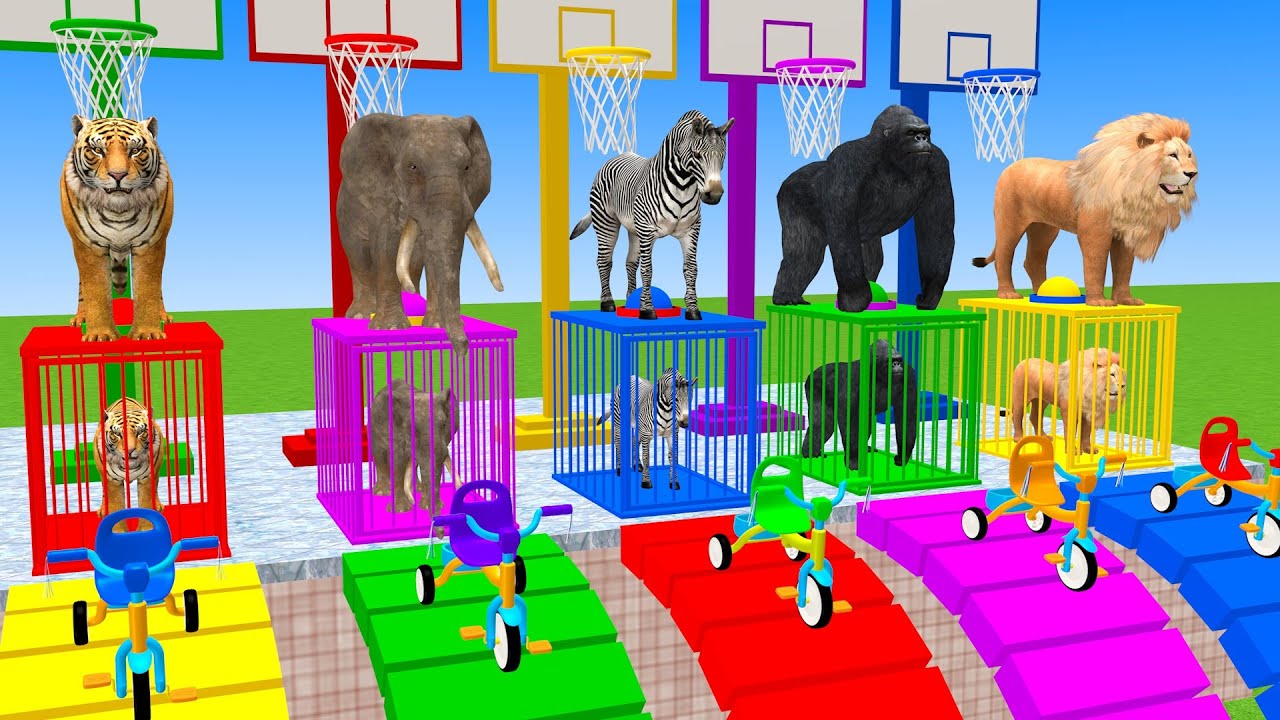 Long Slide Game With Elephant Tiger Elephant Zebra Gorilla Lion 3d Animal Game Funny 3d Animals