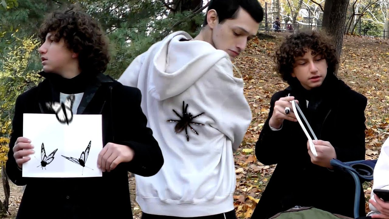 August Maturo (aka Auggie Matthews on Girl Meets World on Disney Channel)'s drawings come to life