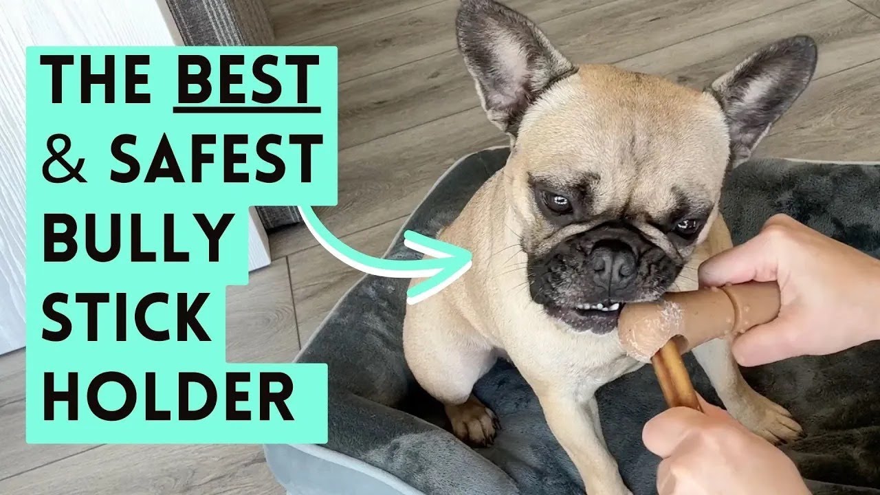 The BEST Bully Stick Holder to Prevent Choking & Keep Your Dog Safe
