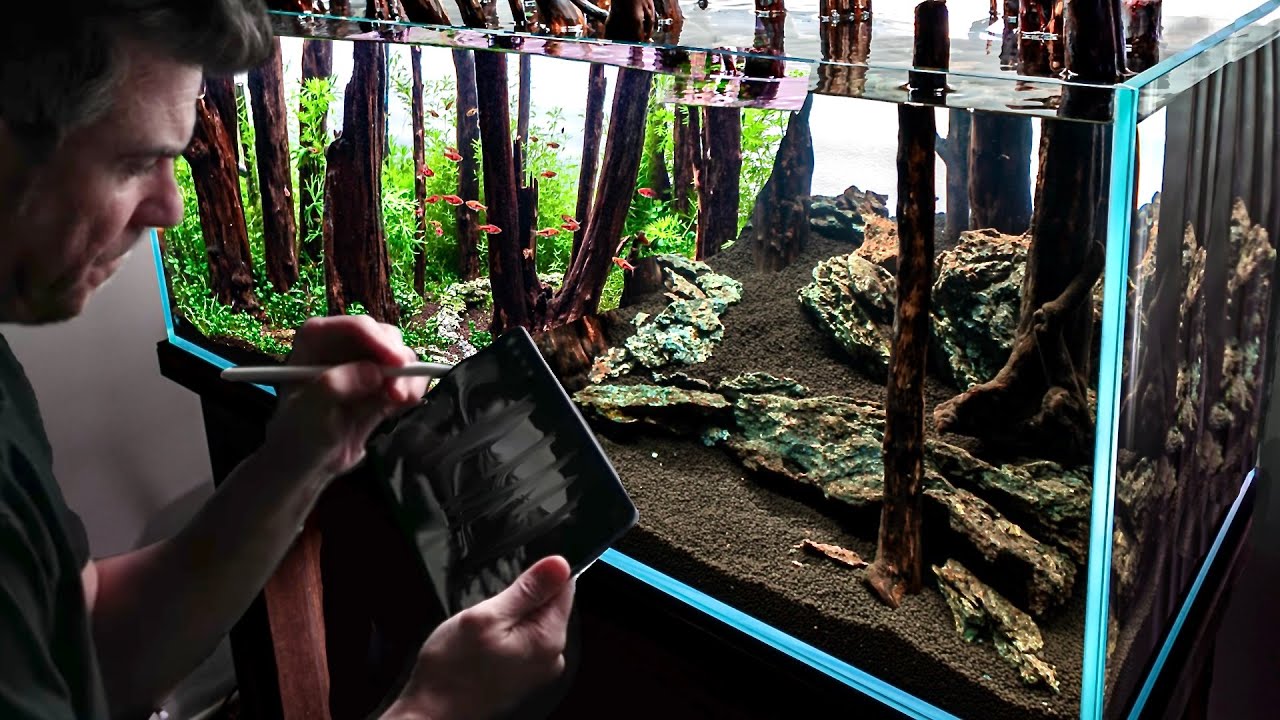Creating a Forest Aquascape | Step-By-Step Visual Guide