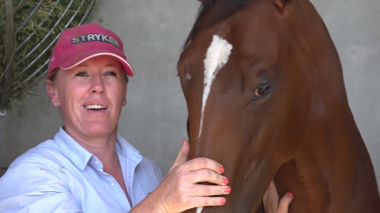 TBV @ Inglis Premier Sale 2016: Roger & Me