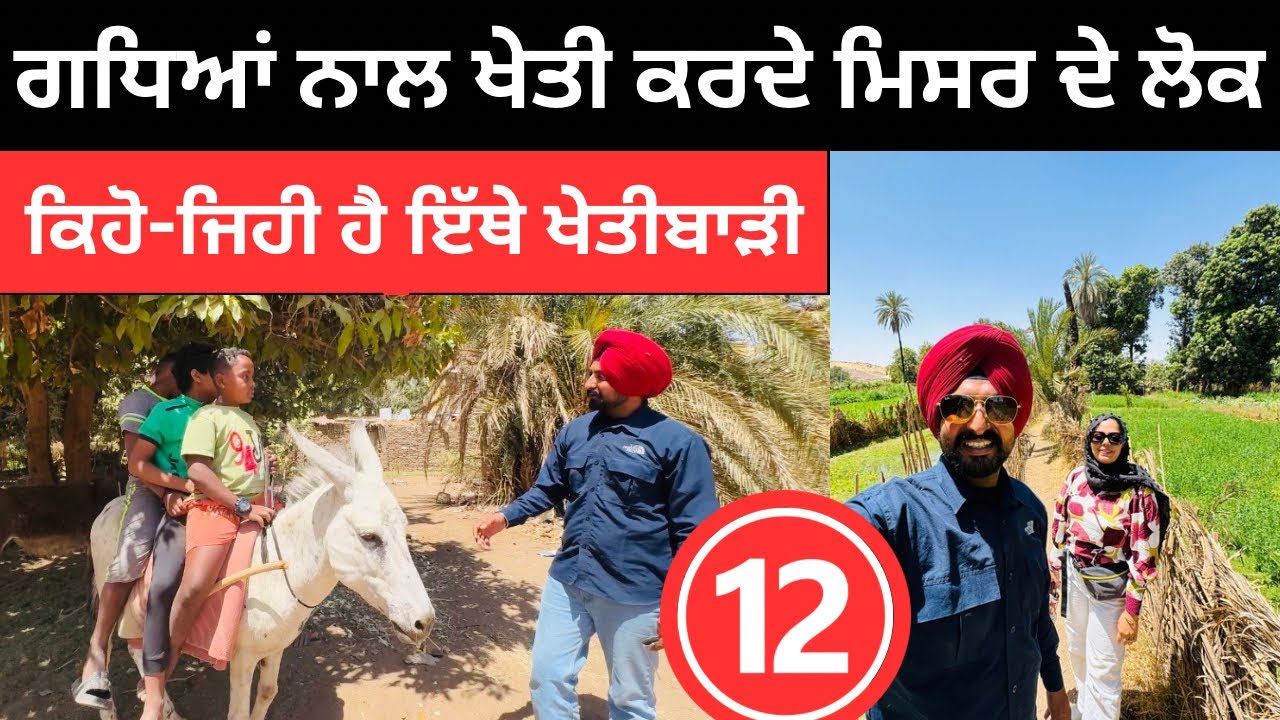 ਗਧਿਆਂ ਨਾਲ ਖੇਤੀ ਕਰਦੇ ਮਿਸਰ ਦੇ ਲੋਕ Agriculture in Egypt | Punjabi Travel Couple | Ripan Khushi