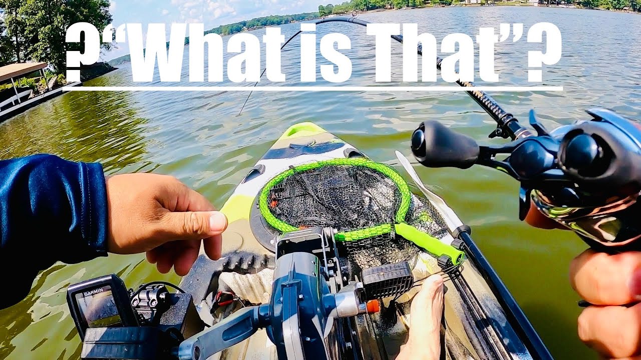 Unexpected catch at High Rock Lake, NC. Evergreen Kaleido rod handled it like a CHAMP.