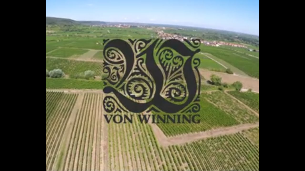 Weingut Von Winning, Deidesheim, Pfalz, GERMANY. VINEYARDS AND DRONE.
