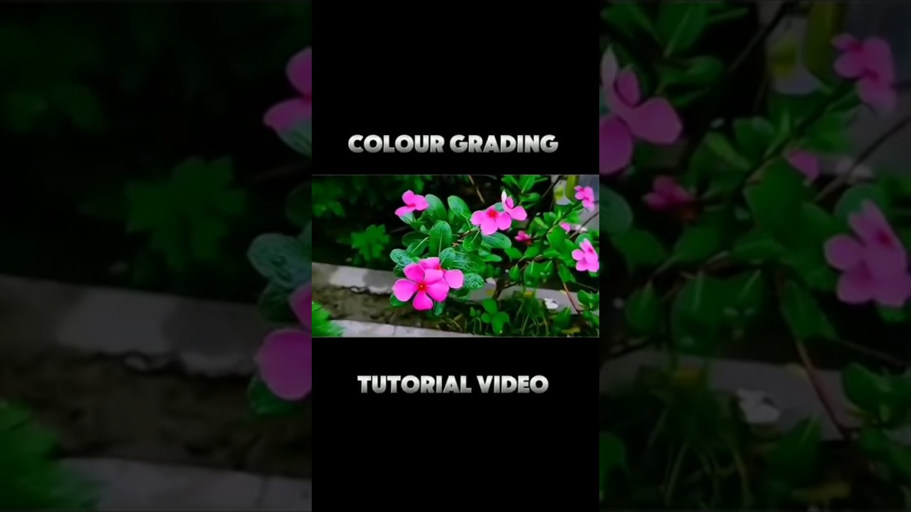 Colour Grading Tutorial Video🌺💐|Tamil|
