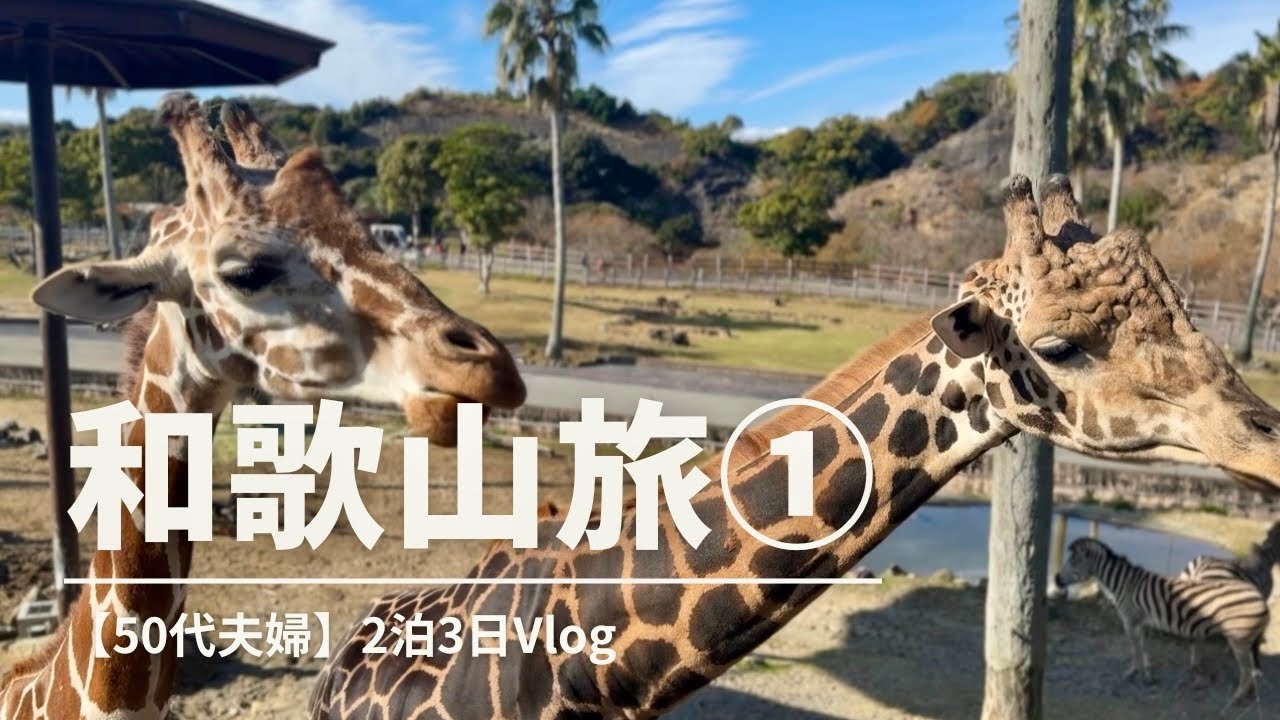 【仲良し夫婦】和歌山旅行2泊3日①｜癒しと感動！アドベンチャーワールドを満喫する50代夫婦旅Vlog