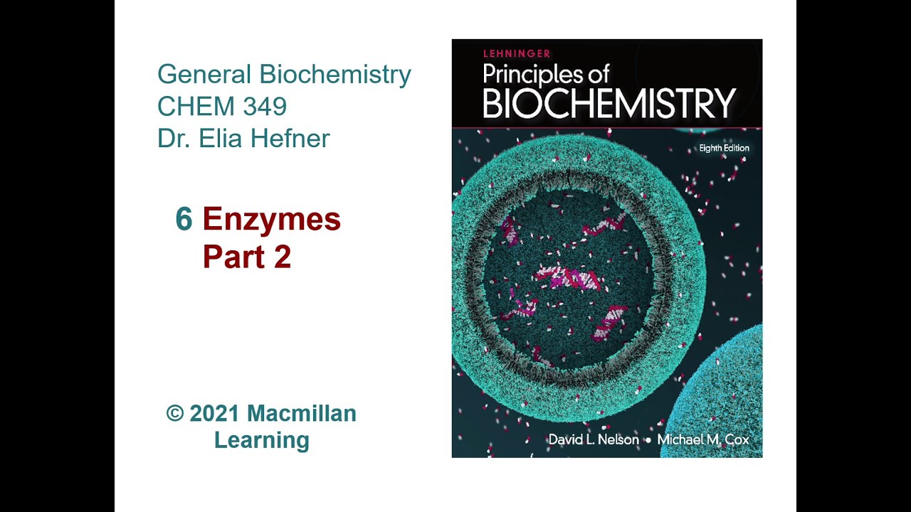 Chapter 6 - Enzymes (Part 2)