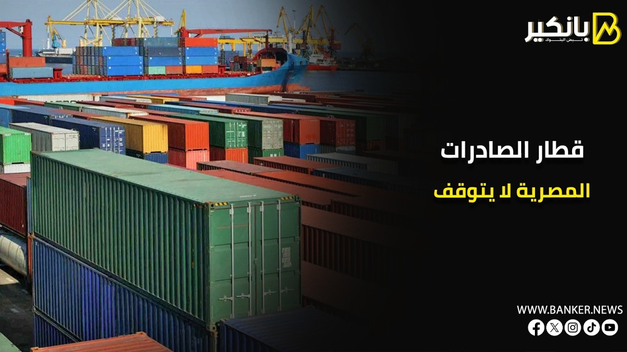 قطار الصادرات المصرية لا يتوقف   285 ألف طن من الغذاء المصري تغزو العالم في 7 أيام فقط