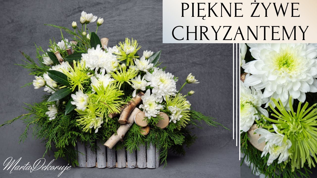PIĘKNY NATURALNY STROIK NA GRÓB Z ŻYWYCH CHRYZANTEM NA WSZYSTKICH ŚWIĘTYCH