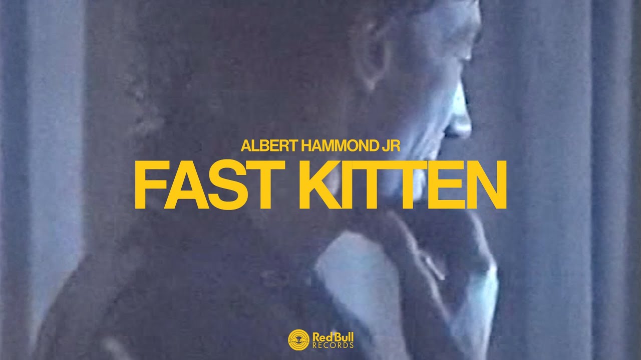 Albert Hammond Jr - Fast Kitten [Visualizer]