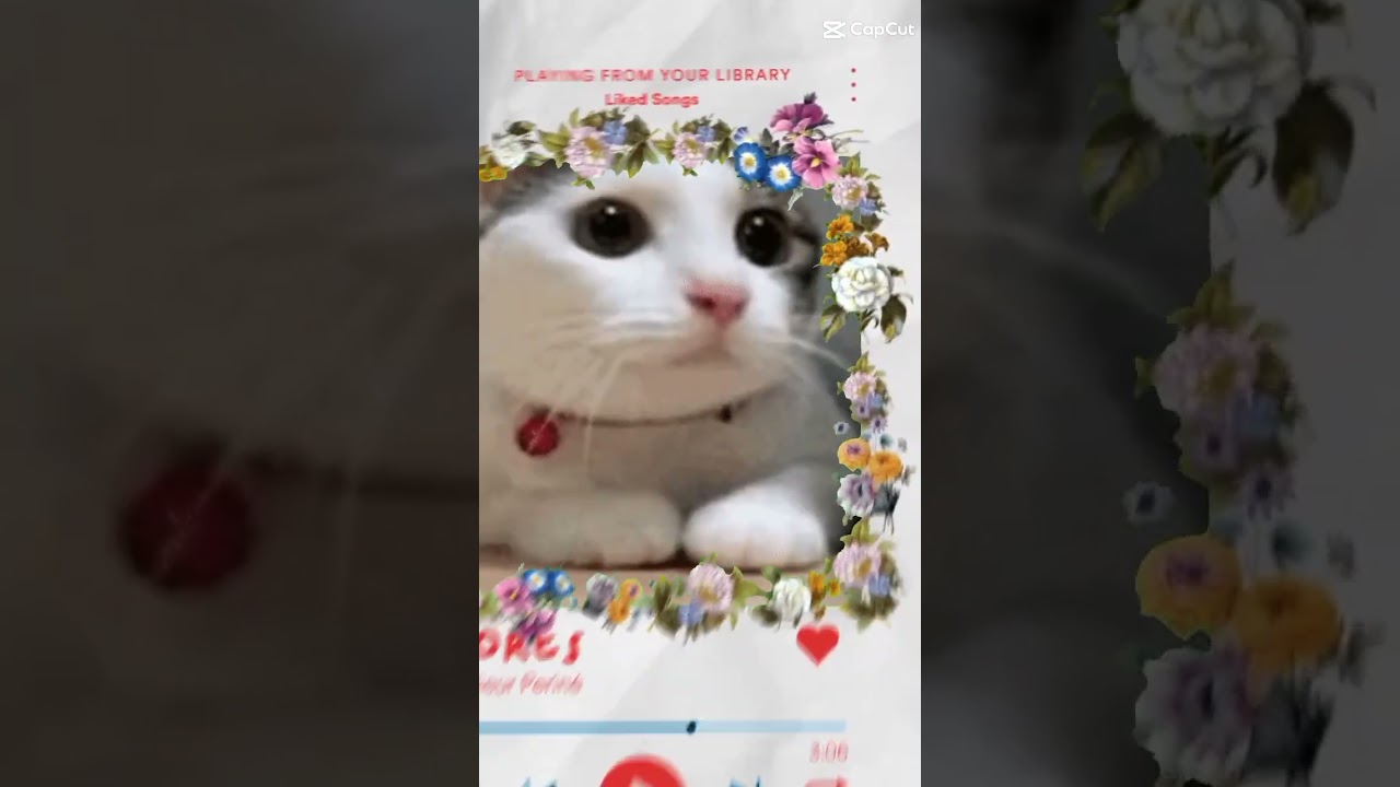 mi corazón mi corazón con Flored