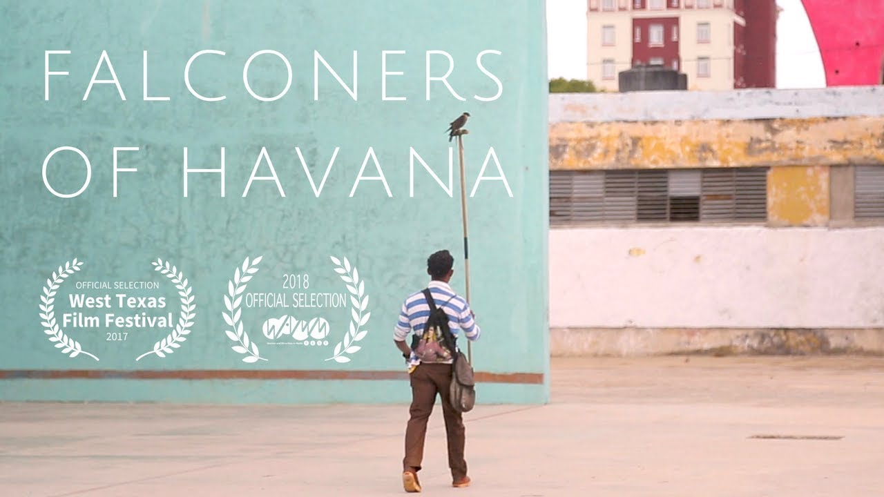 Falconers of Havana | Halconeros de La Habana (Documentary)