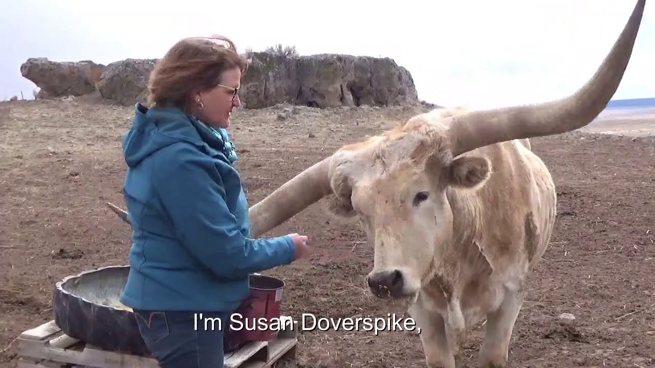 Visit to an eastern Oregon cattle ranch
