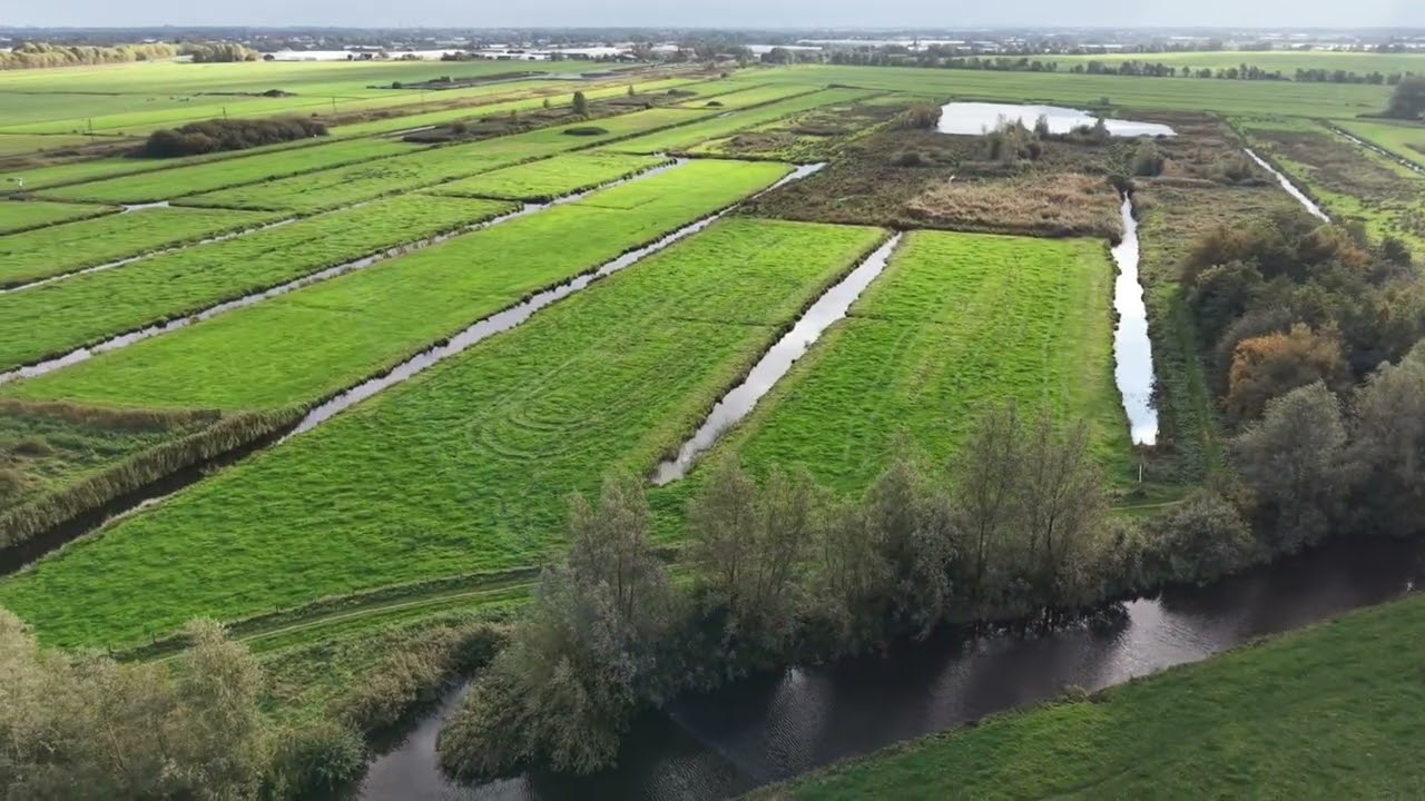 Zaans Rietveld - 17 oktober 2025 (DJI Mini 5 Pro)