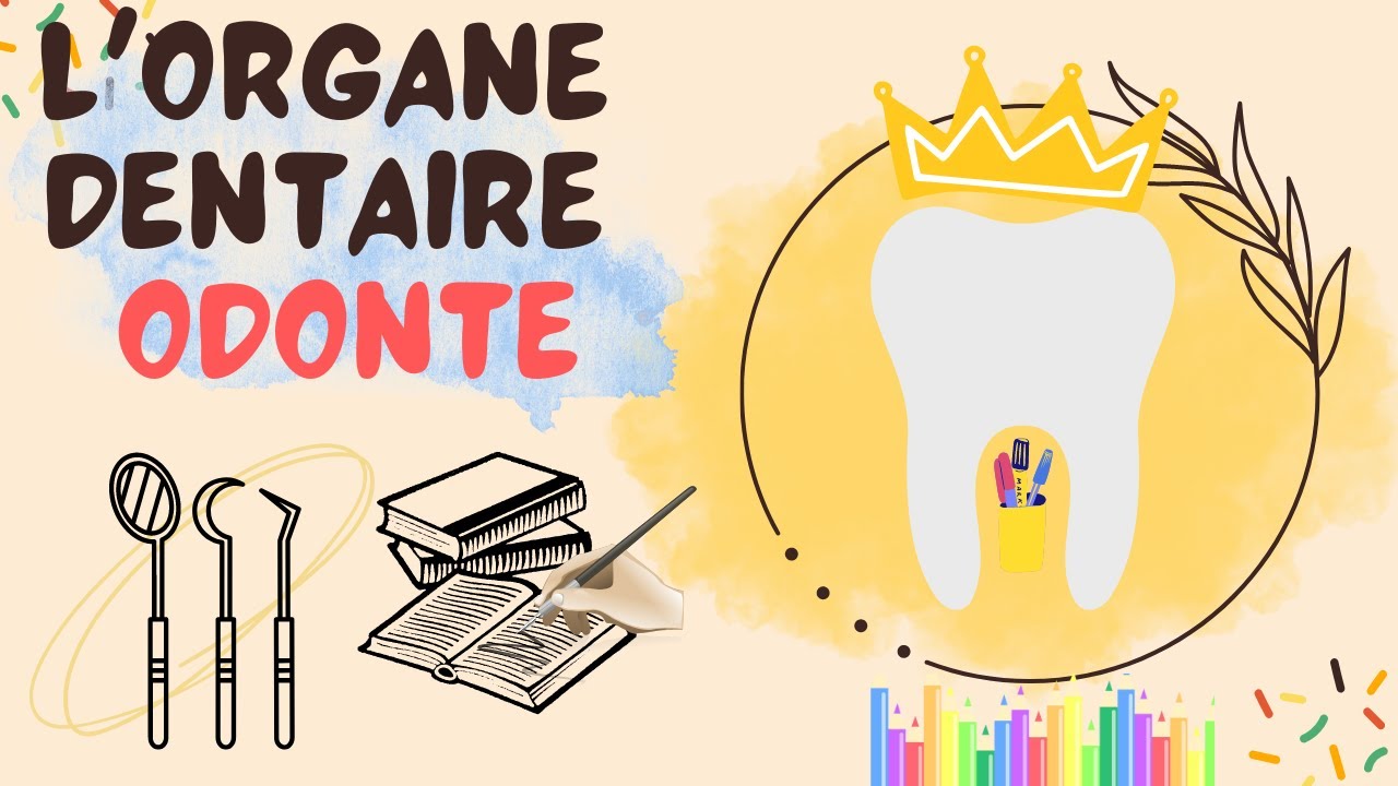 En moins de 