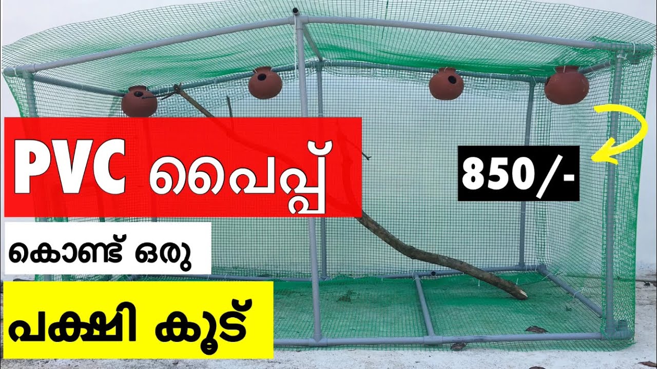 Home Made Love Birds (Budgies) Cage With PVC Pipe | Malayalam